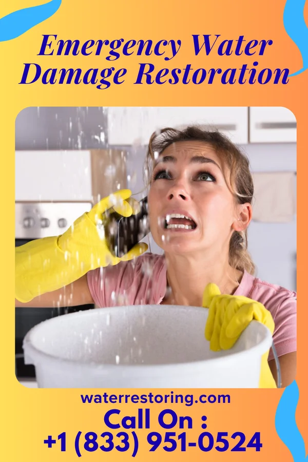 Emergency Water Damage Restoration in Valley Forge, TN