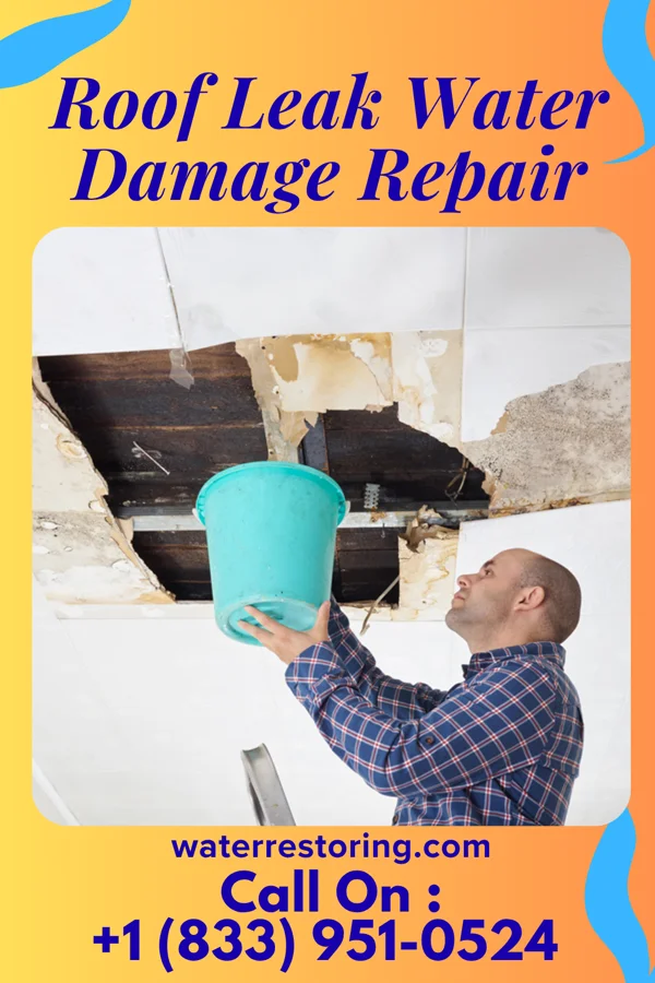Roof Leak Water Damage Repair in Valley Forge, TN